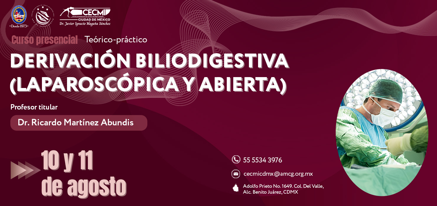 página web. 10 y 11 agosto